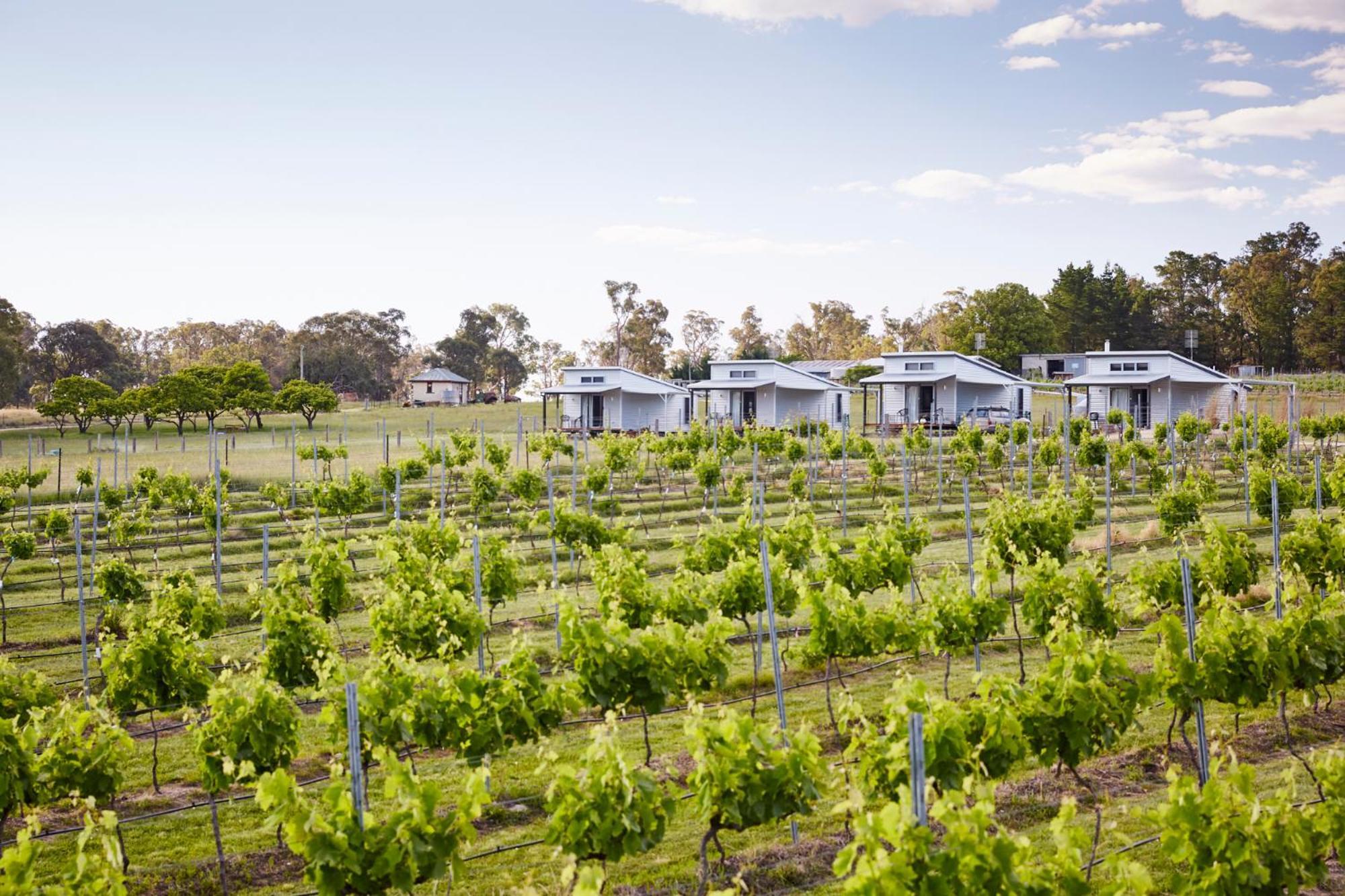 Ridgemill Estate Aparthotel Stanthorpe Kültér fotó